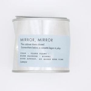 MIRROR, MIRROR